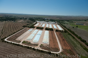 VITERRA 2013 / 110224_VITERRA_GLADSTONE_609