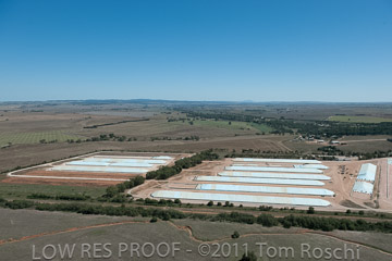VITERRA 2013 / 110224_VITERRA_GLADSTONE_616