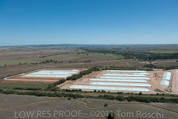 VITERRA 2013 / 110224_VITERRA_GLADSTONE_617
