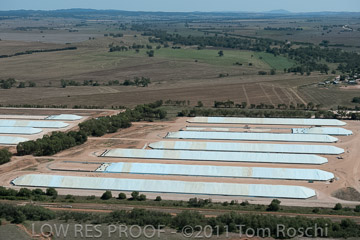 VITERRA 2013 / 110224_VITERRA_GLADSTONE_618