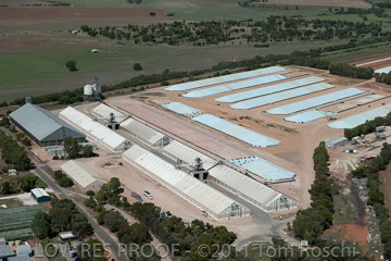 VITERRA 2013 / 110224_VITERRA_GLADSTONE_641