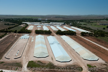 VITERRA 2013 / 110224_VITERRA_GLADSTONE_646