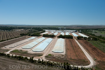 VITERRA 2013 / 110224_VITERRA_GLADSTONE_649