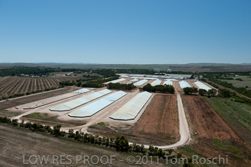 VITERRA 2013 / 110224_VITERRA_GLADSTONE_651