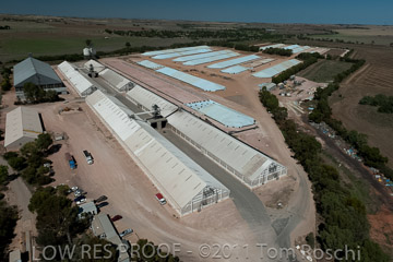 VITERRA 2013 / 110224_VITERRA_GLADSTONE_672