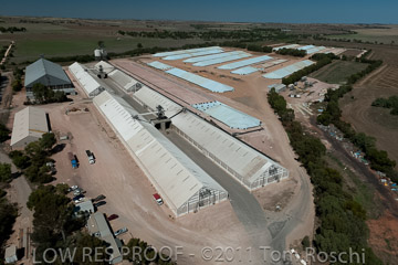 VITERRA 2013 / 110224_VITERRA_GLADSTONE_674