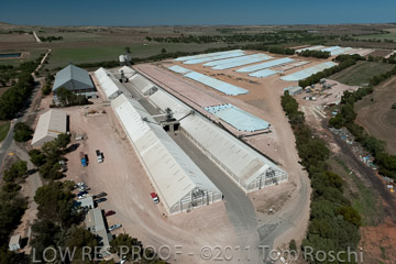 VITERRA 2013 / 110224_VITERRA_GLADSTONE_675