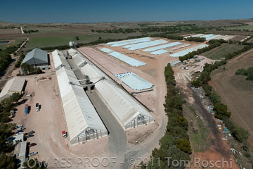 VITERRA 2013 / 110224_VITERRA_GLADSTONE_676