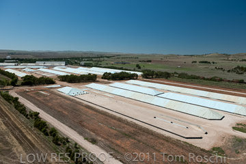 VITERRA 2013 / 110224_VITERRA_GLADSTONE_687