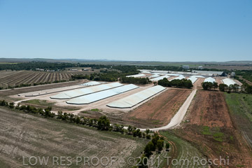 VITERRA 2013 / 110224_VITERRA_GLADSTONE_691
