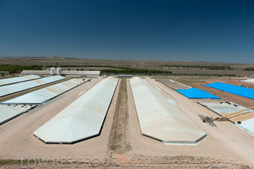 VITERRA 2013 / 110224_VITERRA_SNOWTOWN_725