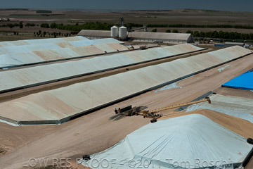 VITERRA 2013 / 110224_VITERRA_SNOWTOWN_728