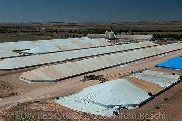 VITERRA 2013 / 110224_VITERRA_SNOWTOWN_730