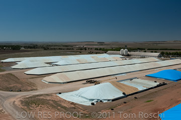 VITERRA 2013 / 110224_VITERRA_SNOWTOWN_734