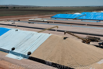 VITERRA 2013 / 110224_VITERRA_SNOWTOWN_747