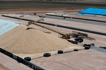 VITERRA 2013 / 110224_VITERRA_SNOWTOWN_750