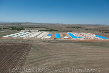 VITERRA 2013 / 110224_VITERRA_SNOWTOWN_793