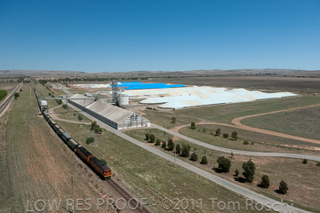 VITERRA 2013 / 110224_VITERRA_SNOWTOWN_834