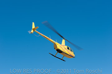 VITERRA 2013 / 110224_VITERRA_WALLAROO_421