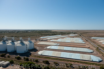 VITERRA 2013 / 110224_VITERRA_WALLAROO_568