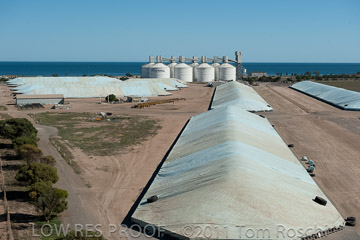 VITERRA 2013 / 110224_VITERRA_WALLAROO_594