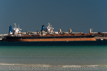 VITERRA 2013 / 110426_WALLAROO_030_