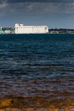 VITERRA 2013 / 110725_VITERRRA_PORT_LINCOLN_186_