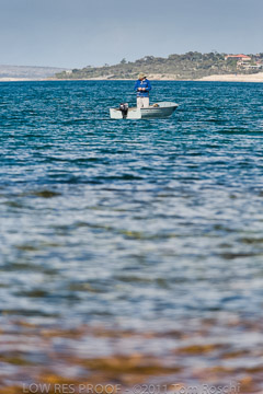 VITERRA 2013 / 110725_VITERRRA_PORT_LINCOLN_188_