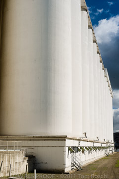 VITERRA 2013 / 110725_VITERRRA_PORT_LINCOLN_210_