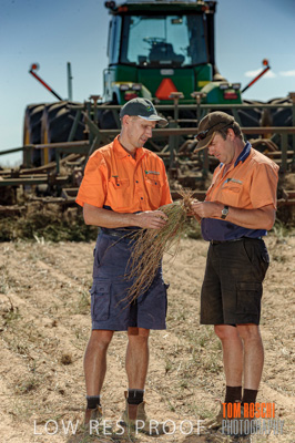 February 2012 / VITERRA_LOXTON_031_(120213)