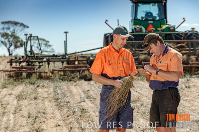 February 2012 / VITERRA_LOXTON_032_(120213)