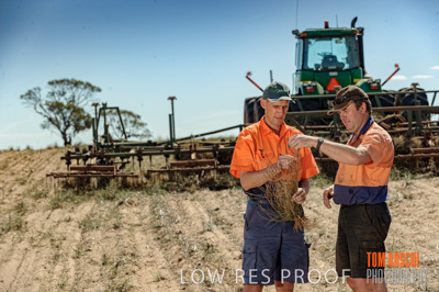 February 2012 / VITERRA_LOXTON_034_(120213)