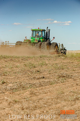 February 2012 / VITERRA_LOXTON_041_(120213)