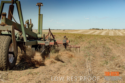 February 2012 / VITERRA_LOXTON_057_(120213)