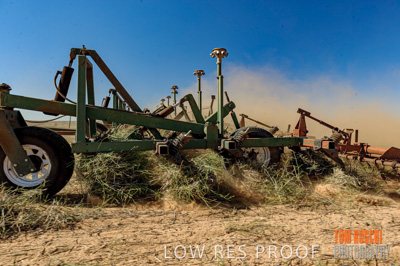 February 2012 / VITERRA_LOXTON_070_(120213)
