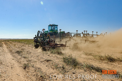 February 2012 / VITERRA_LOXTON_075_(120213)