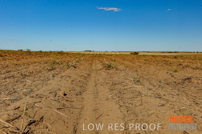February 2012 / VITERRA_LOXTON_083_(120213)