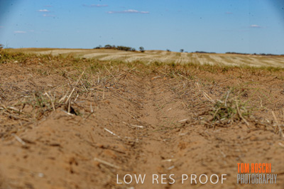 February 2012 / VITERRA_LOXTON_087_(120213)