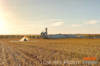February 2012 / VITERRA_LOXTON_107_(120213)