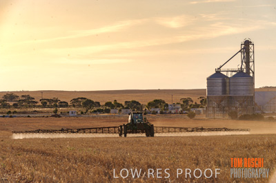 February 2012 / VITERRA_LOXTON_129_(120213)