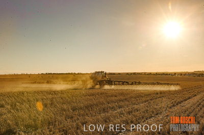 February 2012 / VITERRA_LOXTON_143_(120213)