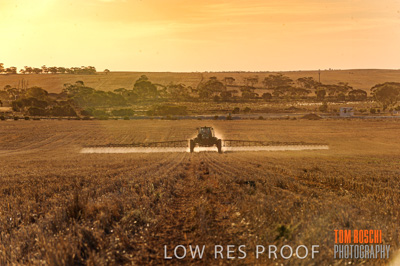 February 2012 / VITERRA_LOXTON_145_(120213)