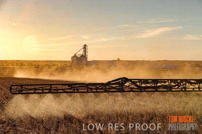 February 2012 / VITERRA_LOXTON_156_(120213)