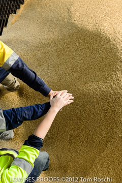 VITERRA / VITERRA_HARVEST_HERO_009_(121015)