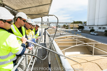 VITERRA / VITERRA_HARVEST_HERO_100_(121015)