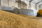 VITERRA / VITERRA_DOOEN__012_(130501)