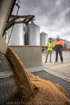 VITERRA / VITERRA_DOOEN__041_(130501)