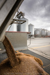 VITERRA / VITERRA_DOOEN__042_(130501)
