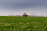 VITERRA / ANNA_BINNA_135_(130604)