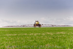 VITERRA / ANNA_BINNA_139_(130604)